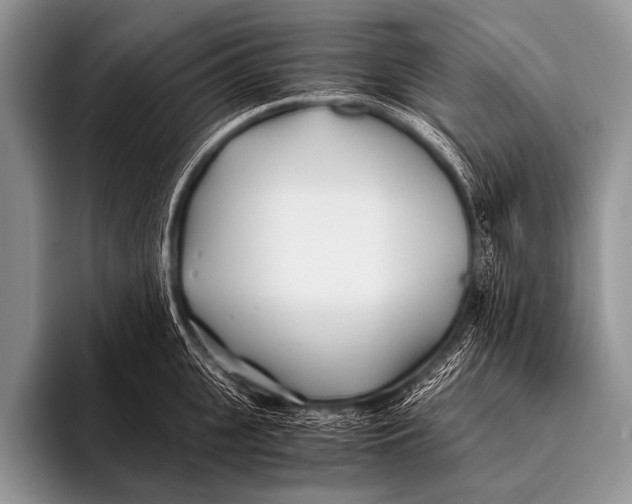 X0000096180951200802081457