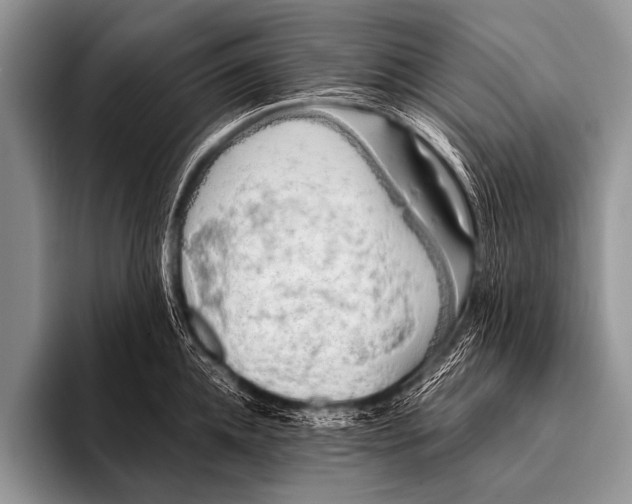 X0000096180952200802081457