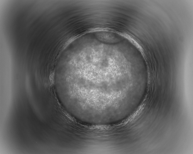 X0000096180953200802081457