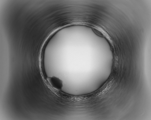 X0000096180955200802081457