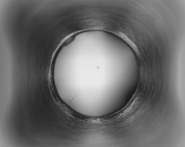 X0000096180956200802081457