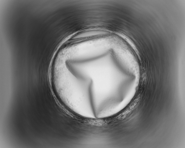 X0000096180957200802081457