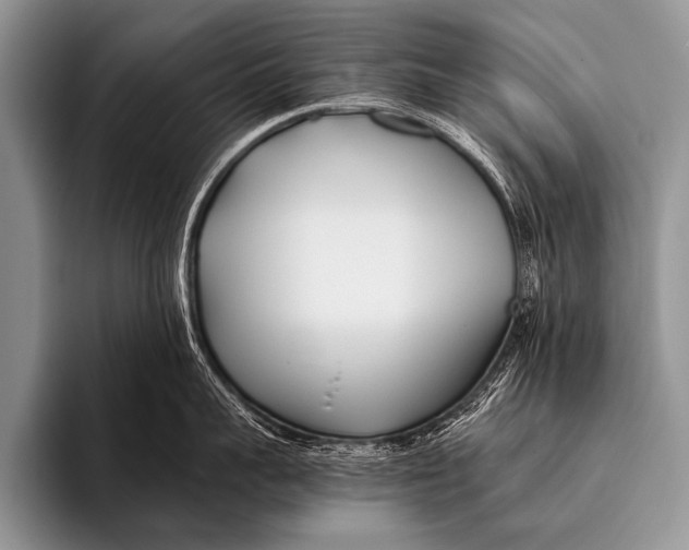 X0000096180959200802081457