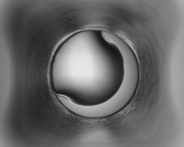 X0000096180960200802081457