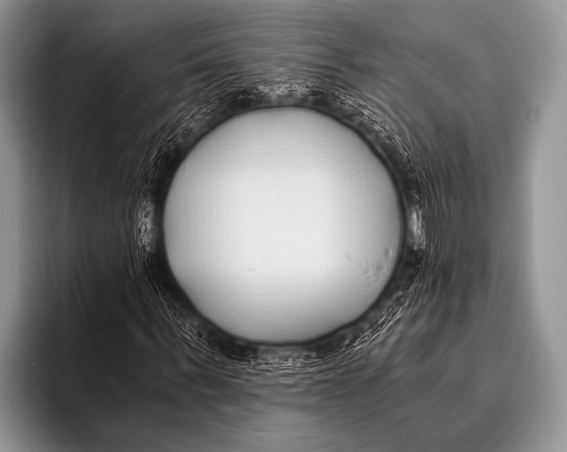 X0000096180963200802081456