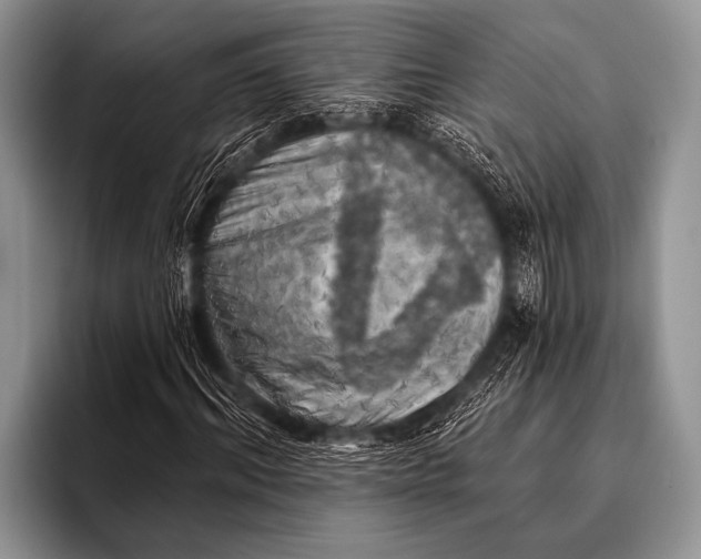 X0000096180964200802081456