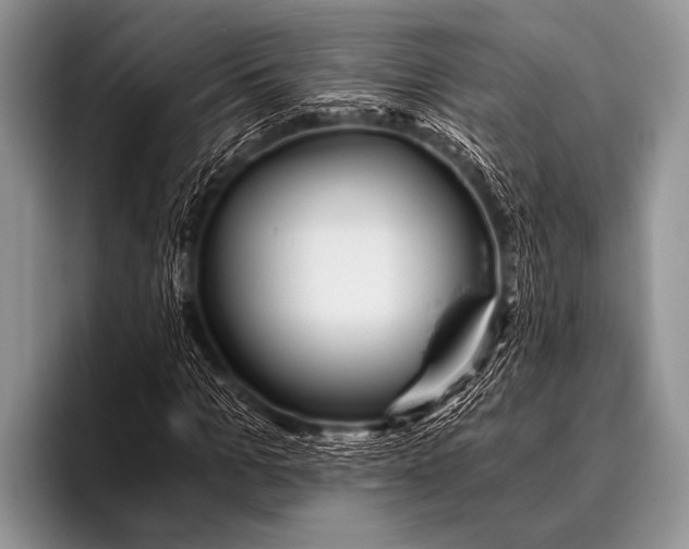 X0000096180965200802081456