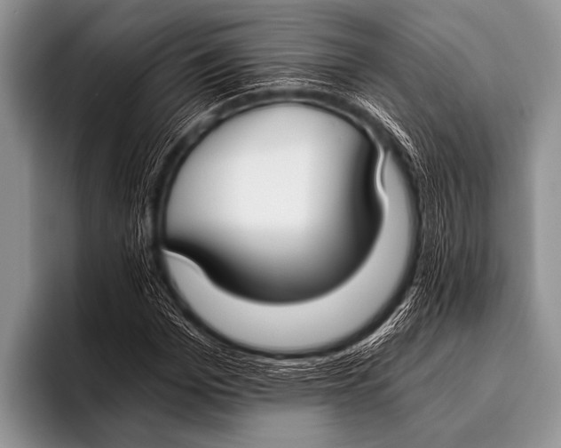 X0000096180969200802081456