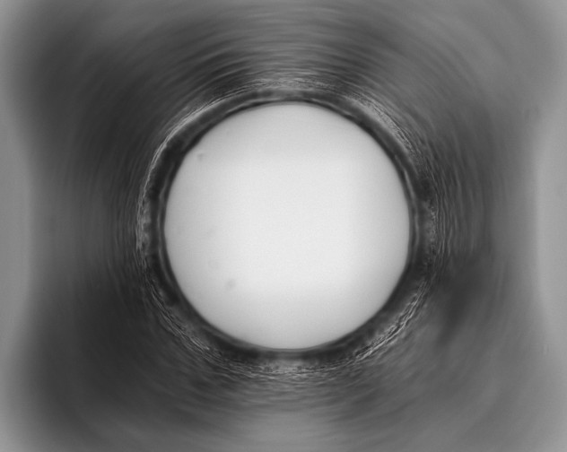 X0000096180971200802081456