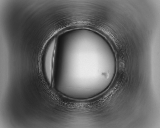 X0000096180973200802081456