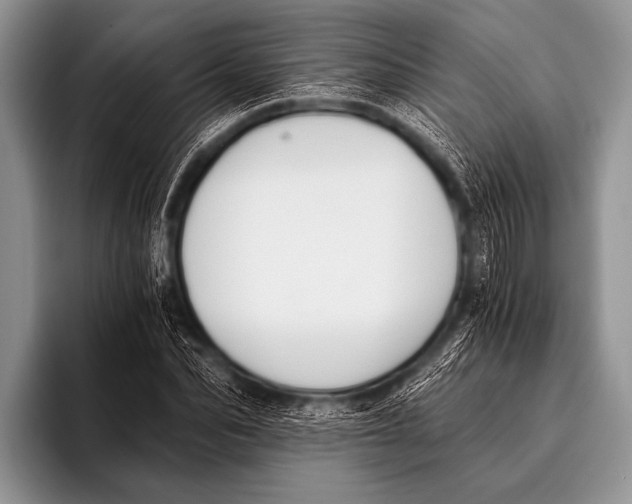 X0000096180974200802081456