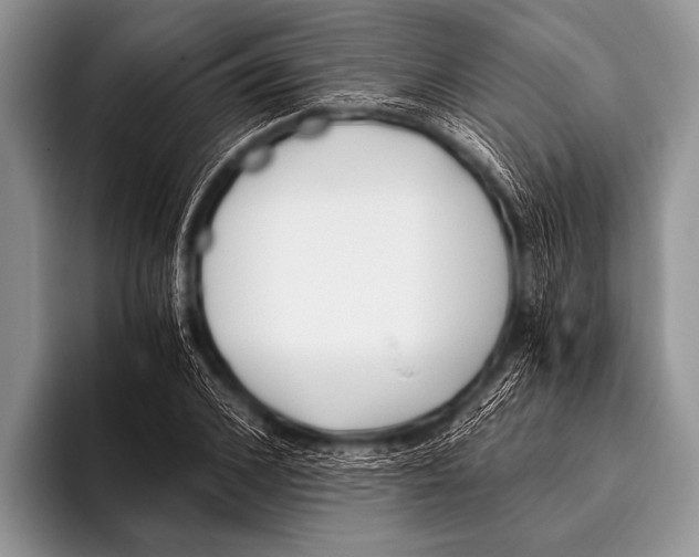 X0000096180976200802081456