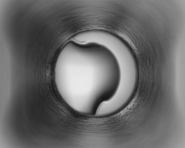 X0000096180977200802081456