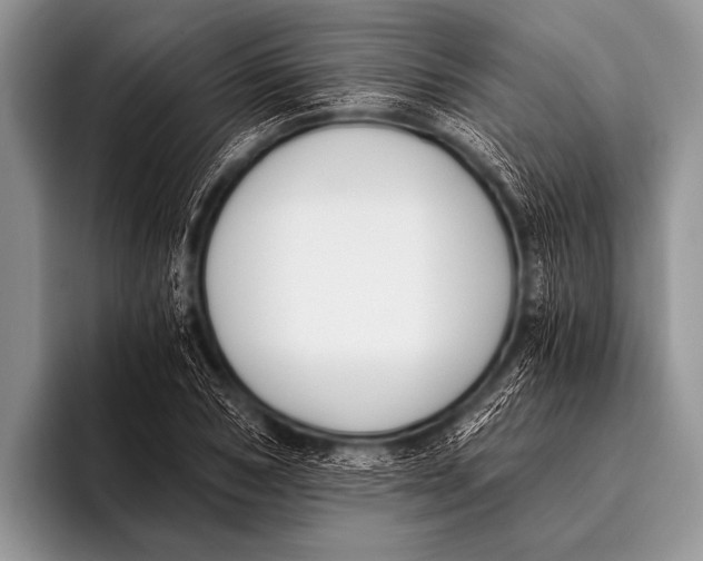 X0000096180978200802081456