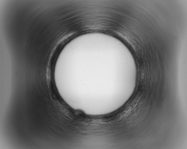 X0000096180979200802081456