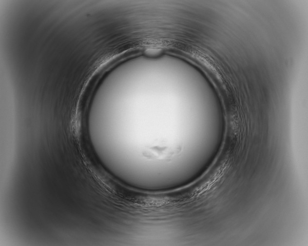 X0000096180981200802081456