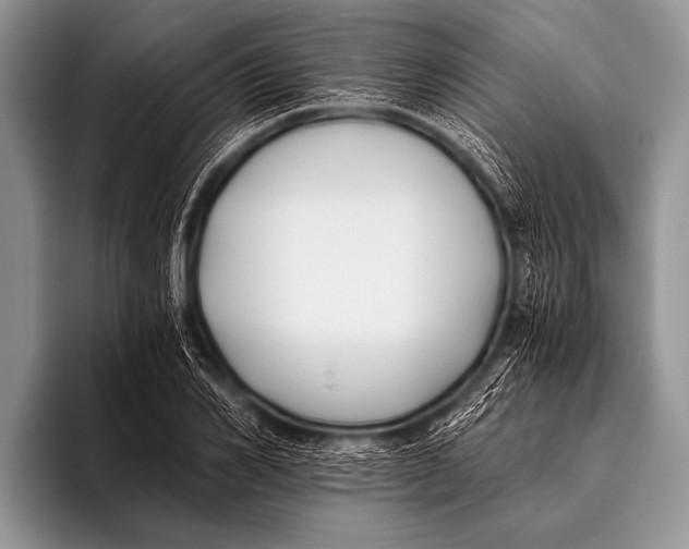 X0000096180982200802081456
