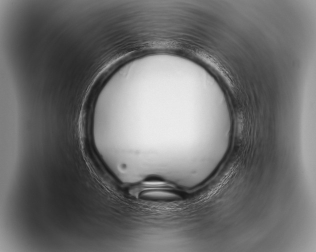 X0000096180983200802081456