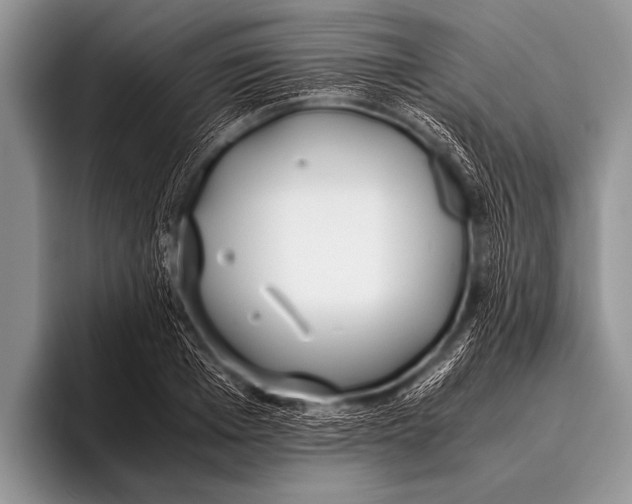X0000096180985200802081456
