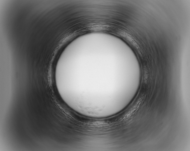 X0000096180986200802081456