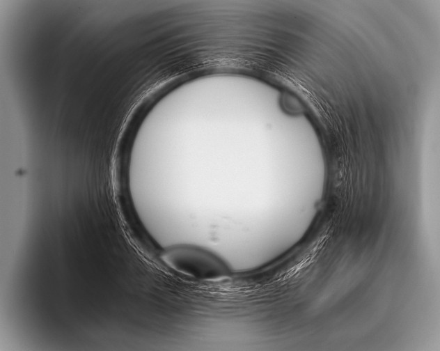 X0000096180987200802081456