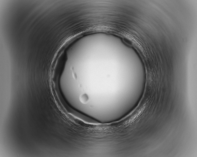X0000096180989200802081456
