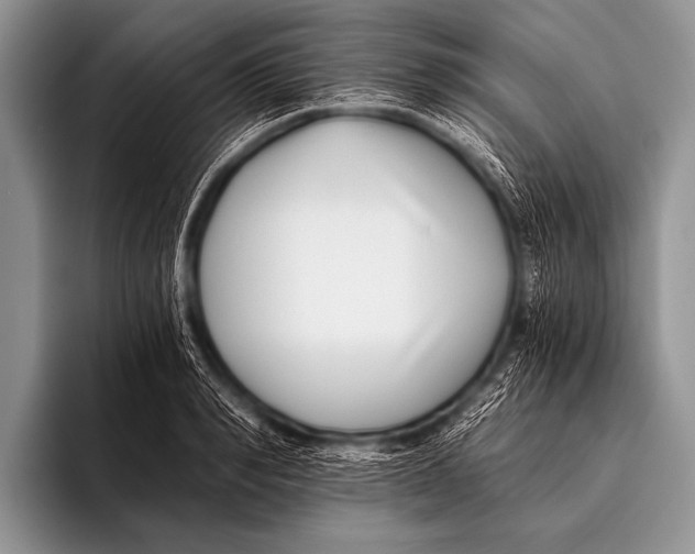 X0000096180990200802081456