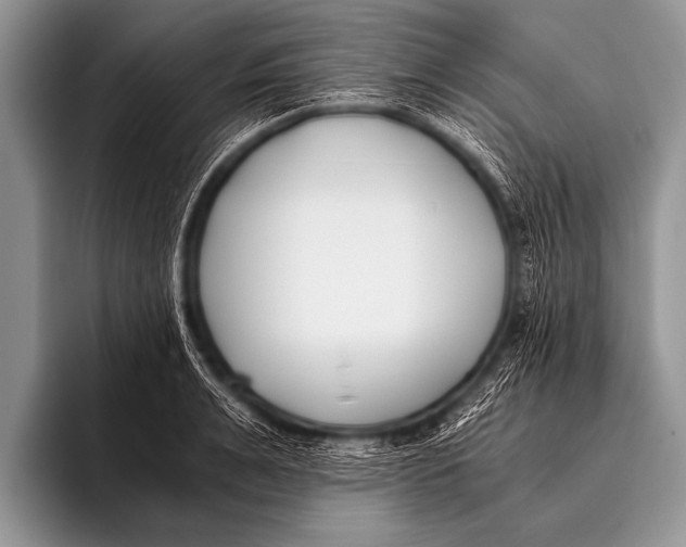 X0000096180991200802081456