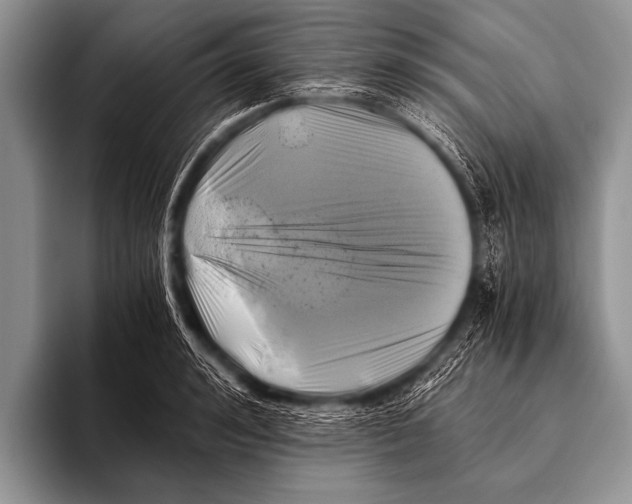 X0000096180992200802081456