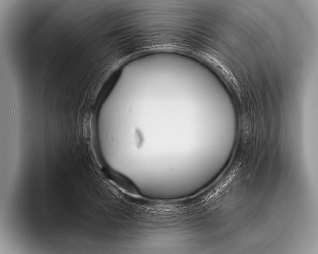 X0000096180993200802081456