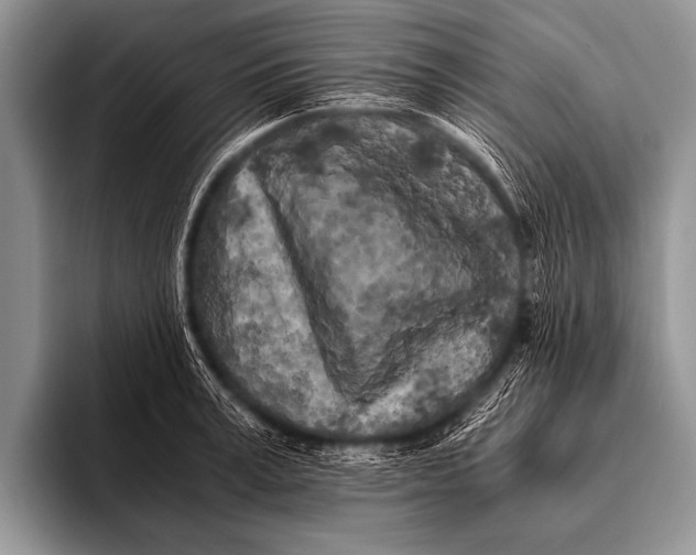X0000096180995200802081456