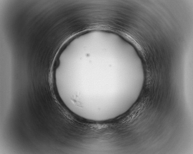 X0000096180996200802081456