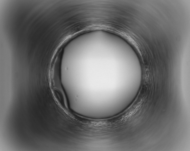 X0000096180997200802081456