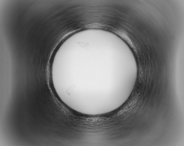 X0000096181000200802081456