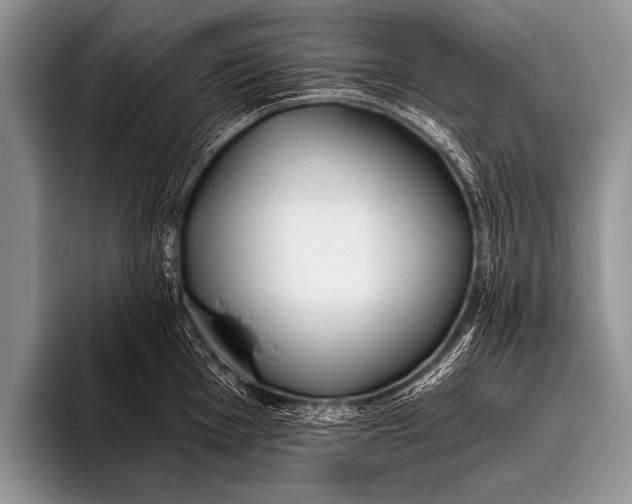 X0000096181001200802081456