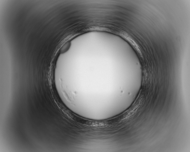 X0000096181002200802081456