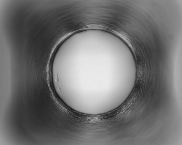 X0000096181003200802081456