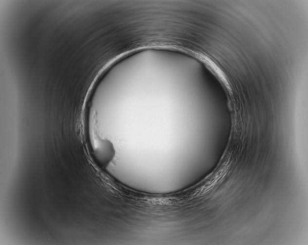 X0000096181004200802081456