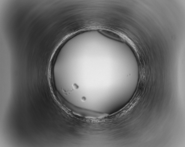 X0000096181005200802081456