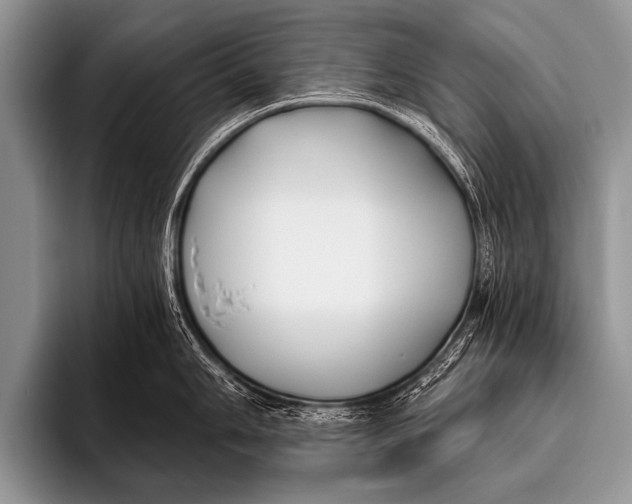 X0000096181006200802081456