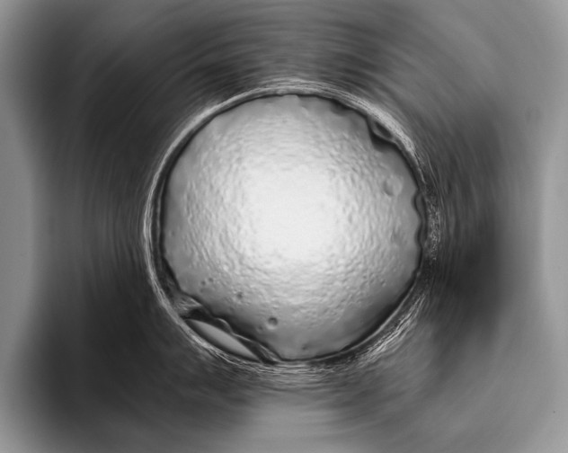 X0000096181007200802081456
