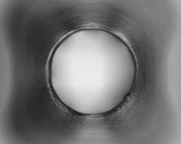 X0000096181008200802081456