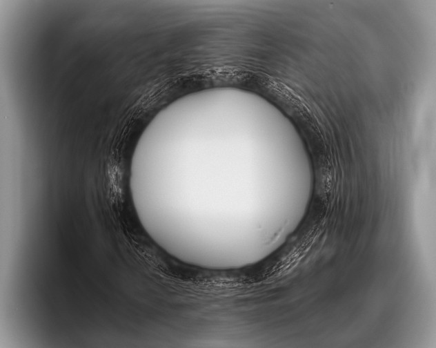 X0000096181010200802081455