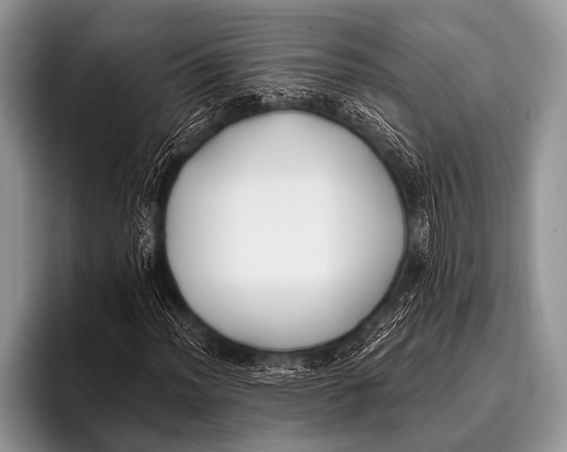 X0000096181012200802081455