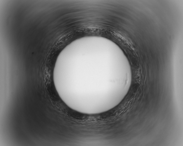 X0000096181013200802081455