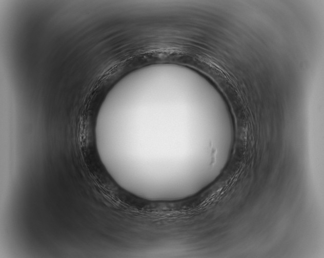 X0000096181014200802081455