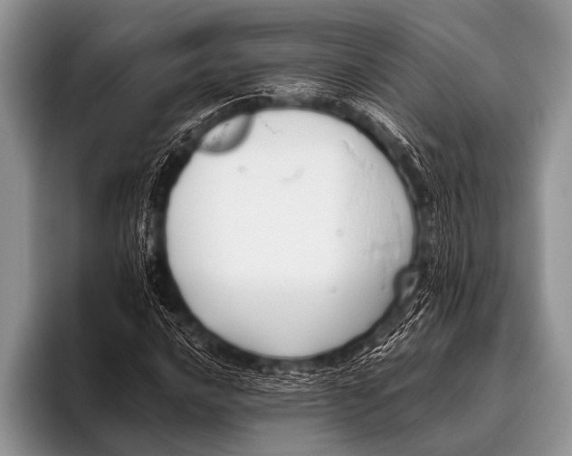 X0000096181016200802081455