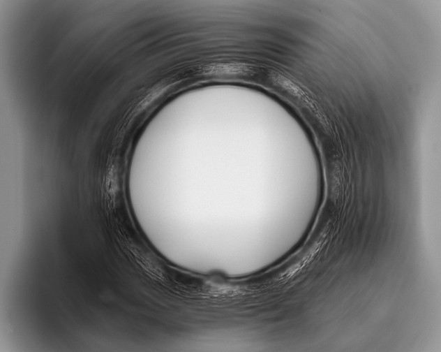 X0000096181017200802081455