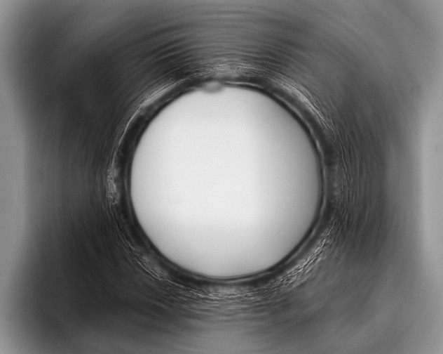 X0000096181018200802081455