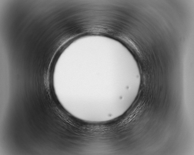 X0000096181020200802081455